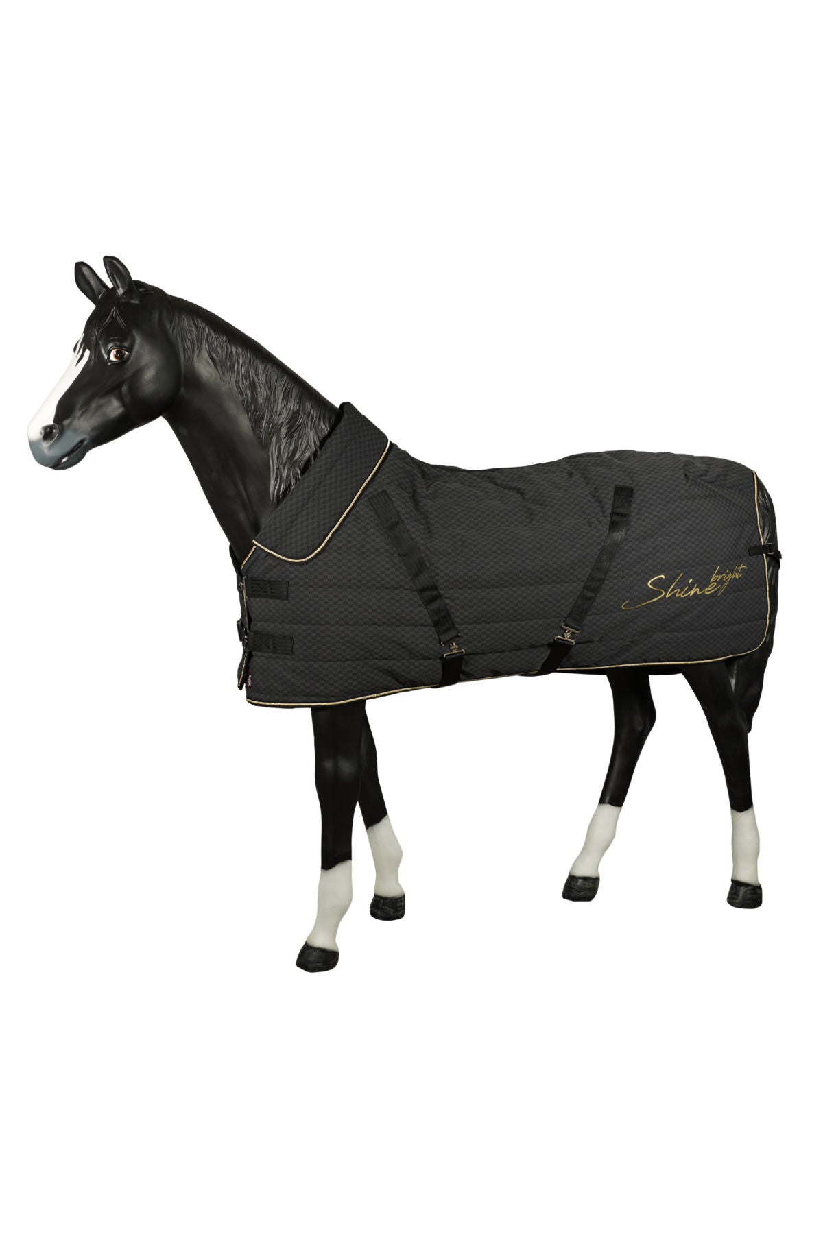 Stalldecke Amsterdam