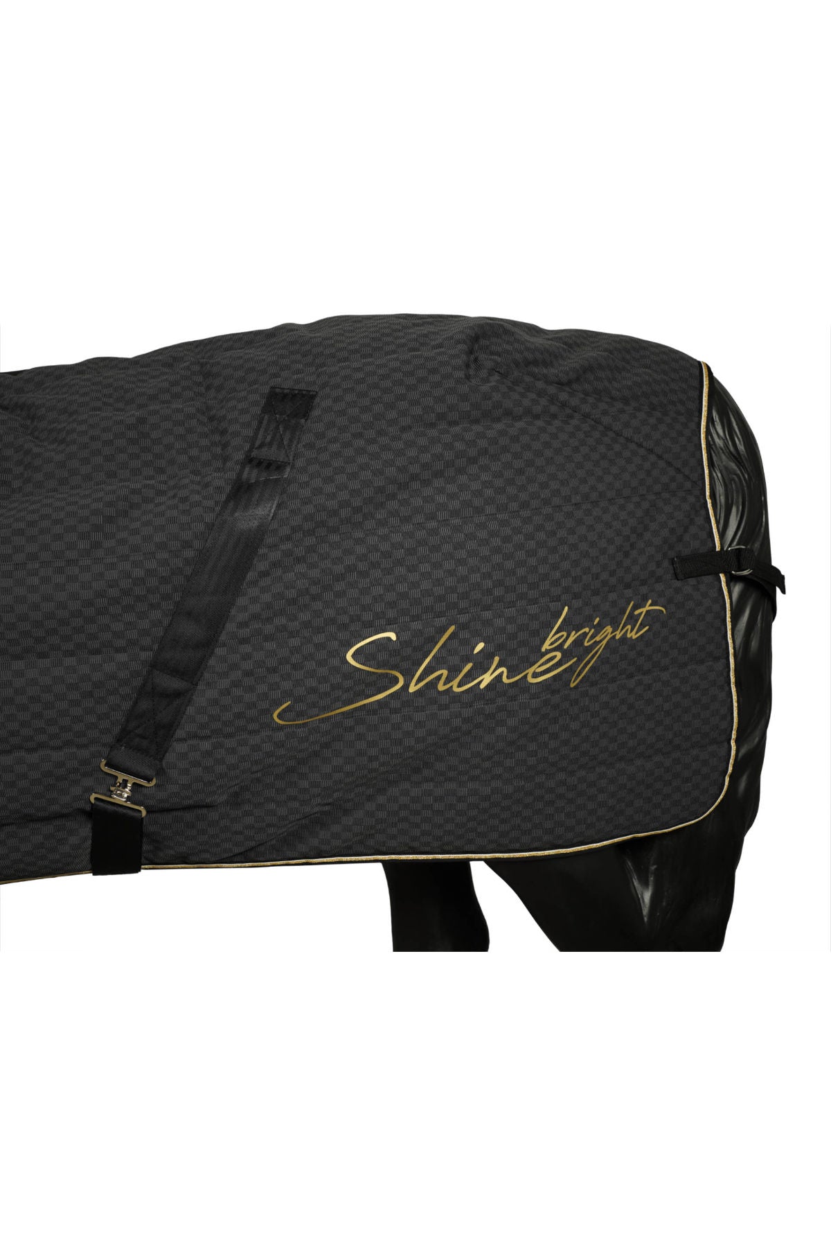 Stalldecke Amsterdam